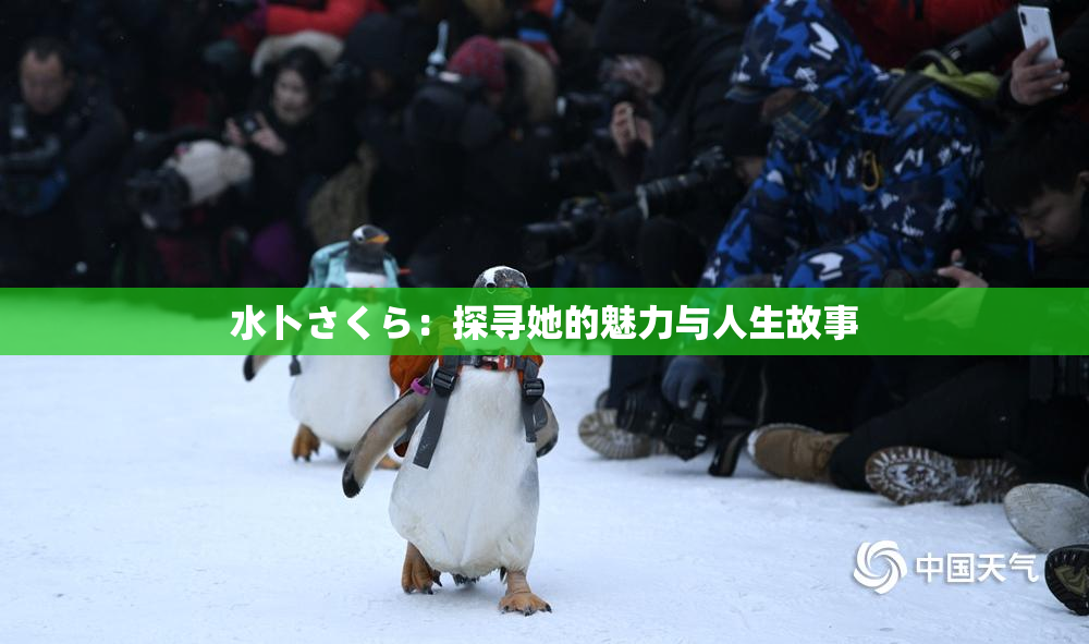 水卜さくら：探寻她的魅力与人生故事