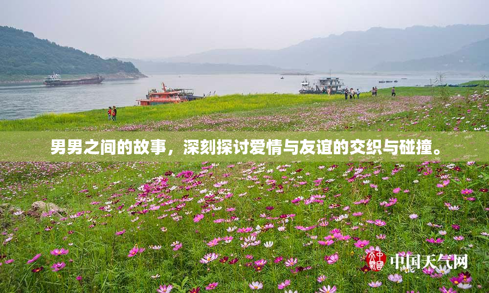 男男之间的故事，深刻探讨爱情与友谊的交织与碰撞。