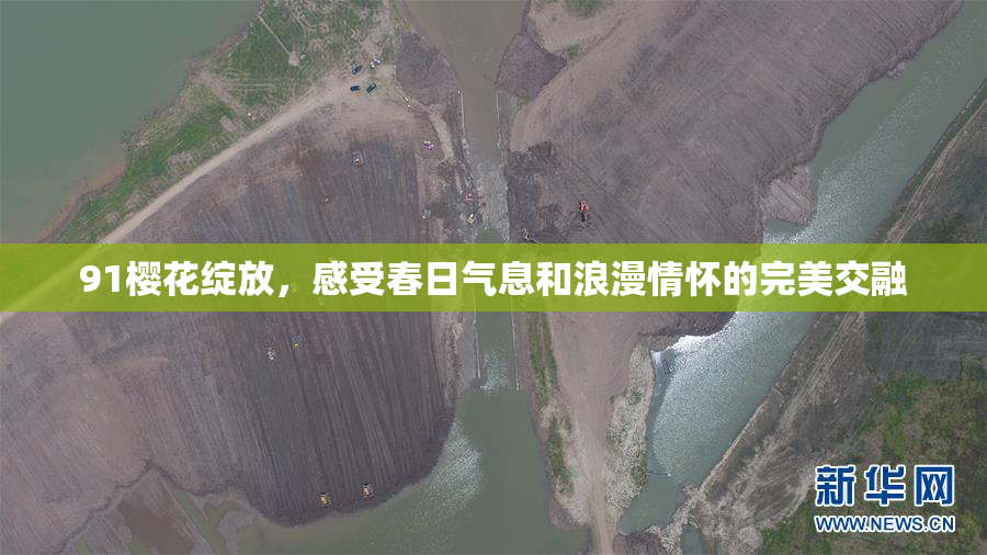 91樱花绽放，感受春日气息和浪漫情怀的完美交融