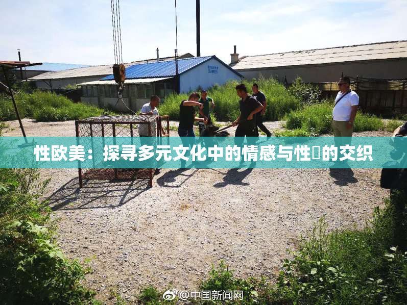 性欧美：探寻多元文化中的情感与性愛的交织