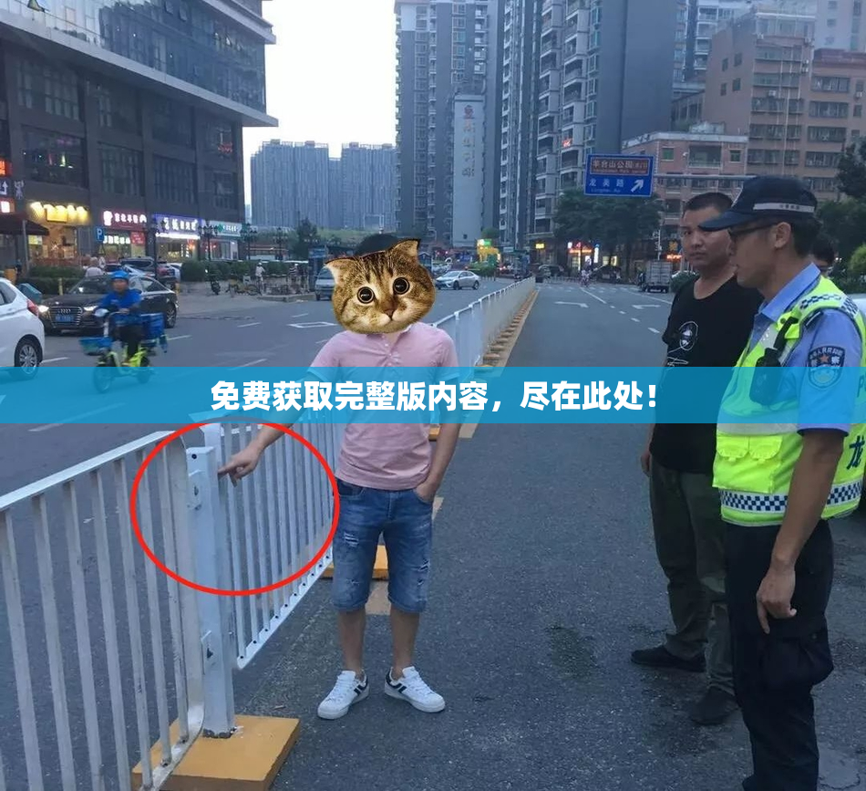 免费获取完整版内容，尽在此处！
