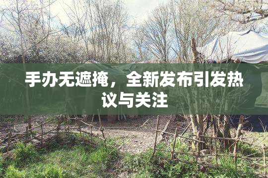 手办无遮掩，全新发布引发热议与关注