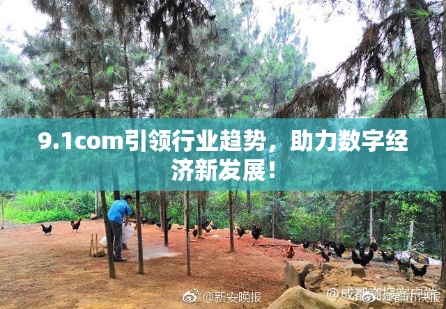 9.1com引领行业趋势，助力数字经济新发展！