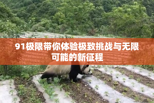 91极限带你体验极致挑战与无限可能的新征程