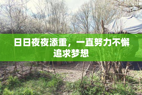 日日夜夜添重，一直努力不懈追求梦想