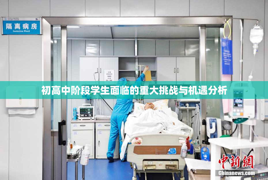 初高中阶段学生面临的重大挑战与机遇分析