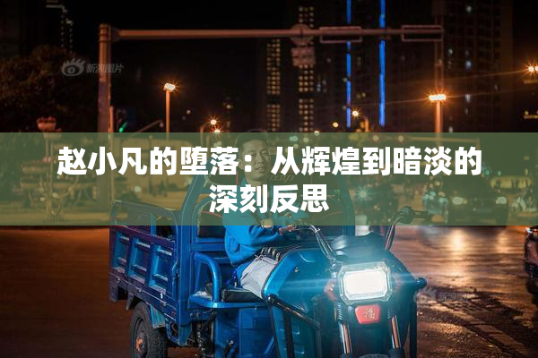 赵小凡的堕落：从辉煌到暗淡的深刻反思