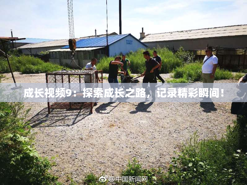 成长视频9：探索成长之路，记录精彩瞬间！