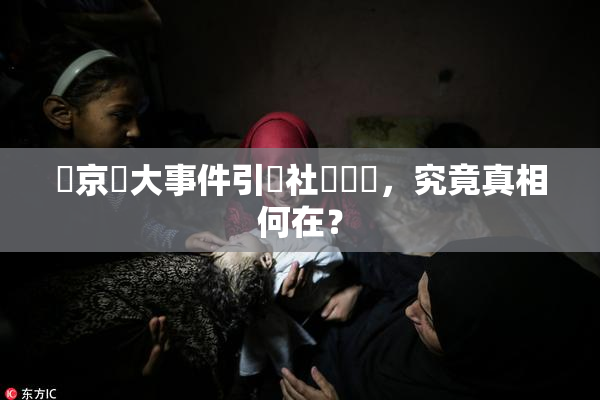 東京熱大事件引發社會熱議，究竟真相何在？