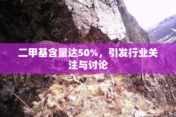 二甲基含量达50%，引发行业关注与讨论