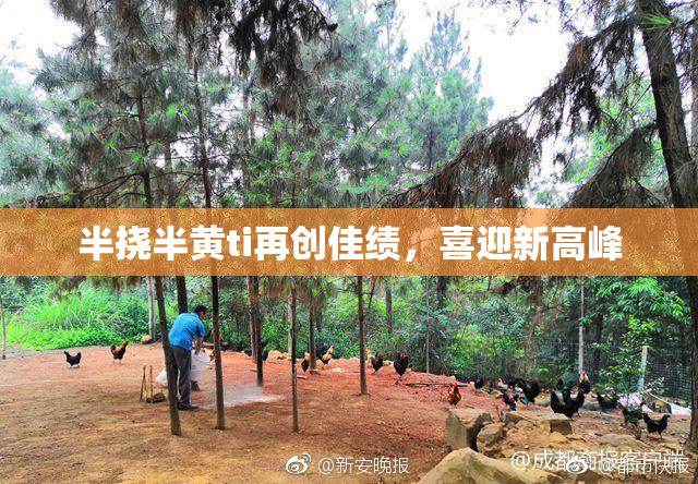 半挠半黄ti再创佳绩，喜迎新高峰