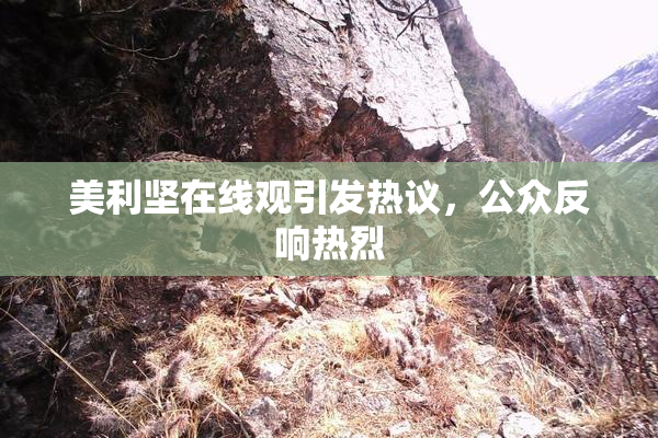 美利坚在线观引发热议，公众反响热烈