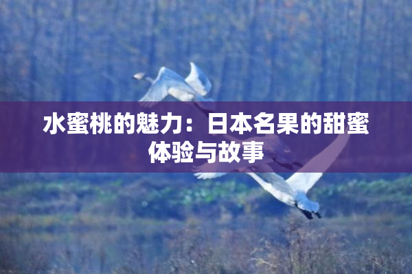 水蜜桃的魅力：日本名果的甜蜜体验与故事