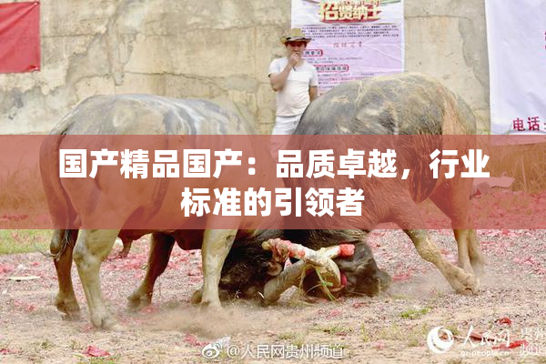 国产精品国产：品质卓越，行业标准的引领者