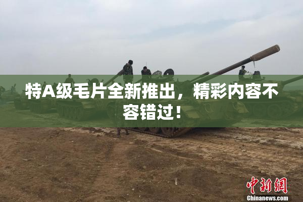 特A级毛片全新推出，精彩内容不容错过！