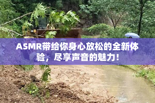 ASMR带给你身心放松的全新体验，尽享声音的魅力！