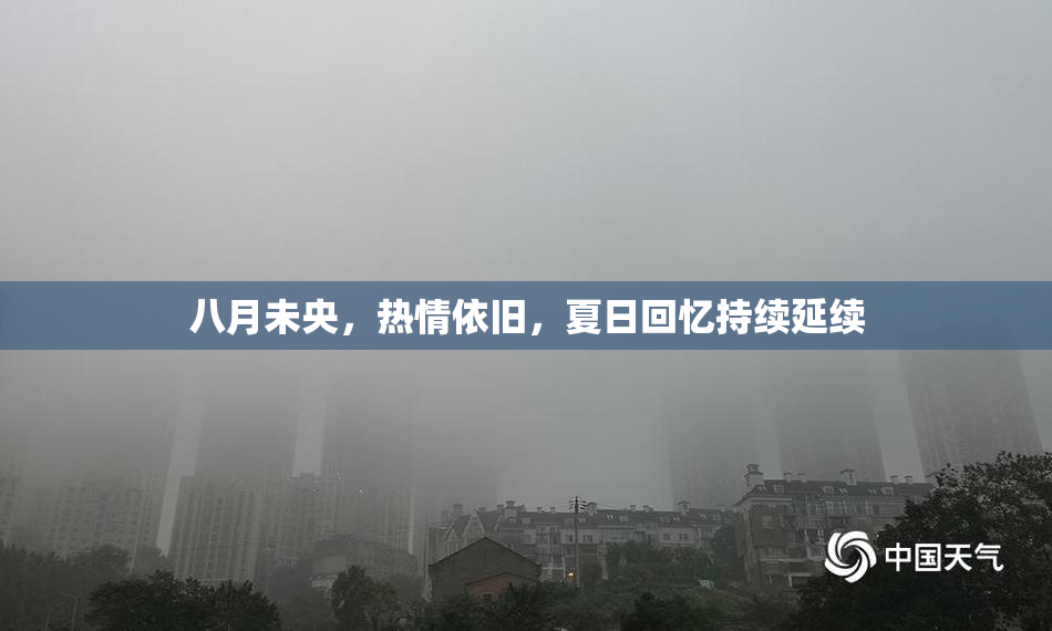 八月未央，热情依旧，夏日回忆持续延续