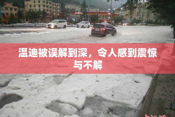 温迪被误解到深，令人感到震惊与不解