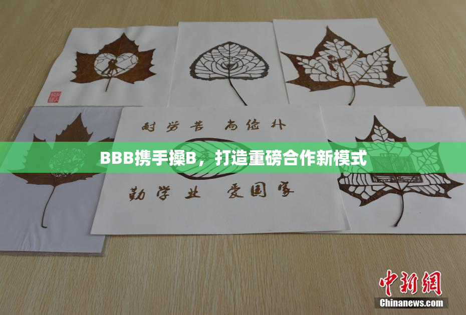 BBB携手搡B，打造重磅合作新模式