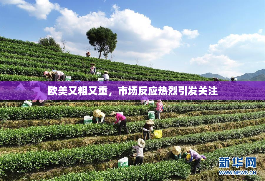 欧美又粗又重，市场反应热烈引发关注