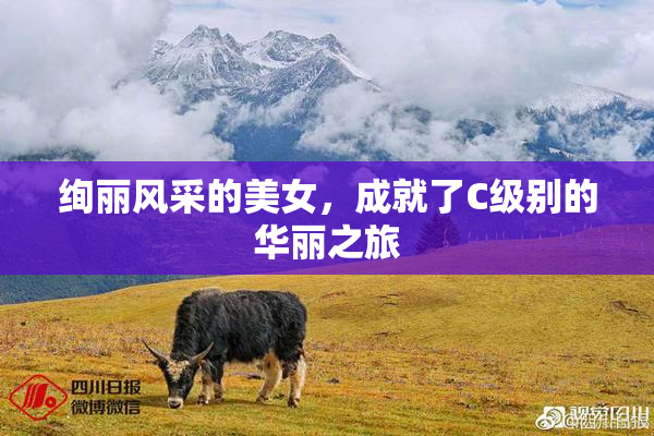 绚丽风采的美女，成就了C级别的华丽之旅