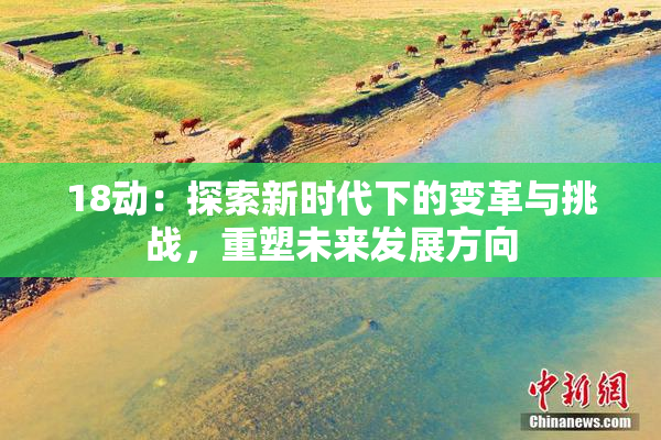 18动：探索新时代下的变革与挑战，重塑未来发展方向