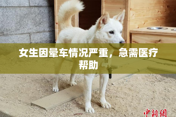 女生因晕车情况严重，急需医疗帮助