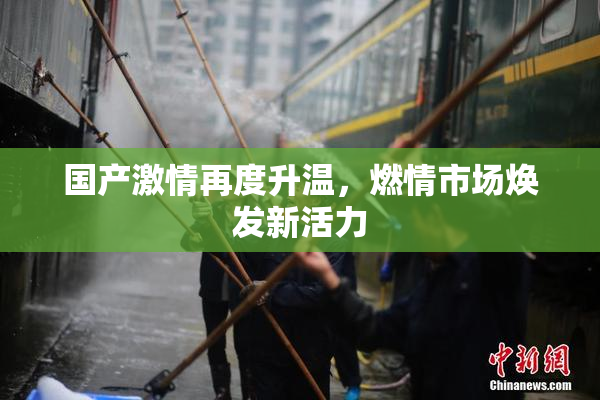 国产激情再度升温，燃情市场焕发新活力