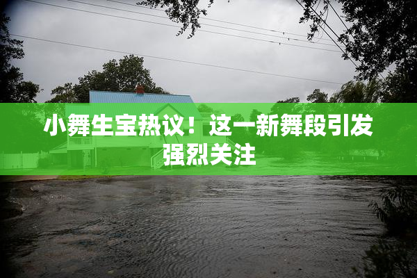 小舞生宝热议！这一新舞段引发强烈关注
