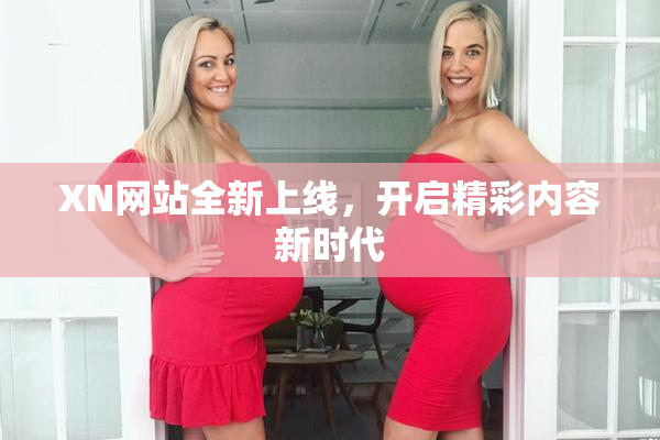 XN网站全新上线，开启精彩内容新时代