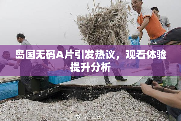岛国无码A片引发热议，观看体验提升分析