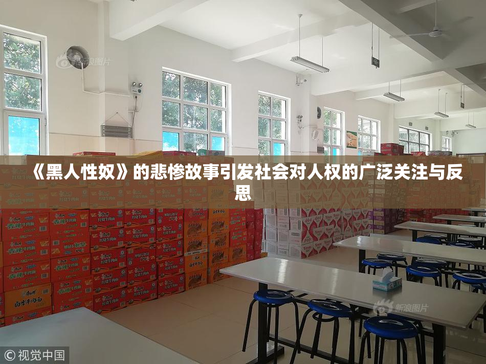 《黑人性奴》的悲惨故事引发社会对人权的广泛关注与反思