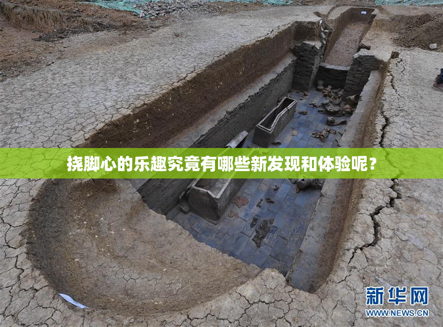 挠脚心的乐趣究竟有哪些新发现和体验呢？