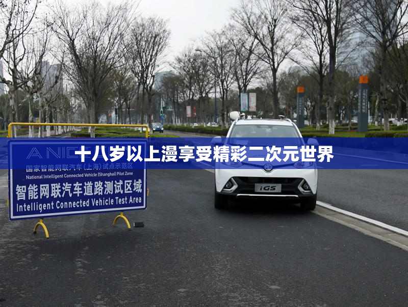 十八岁以上漫享受精彩二次元世界