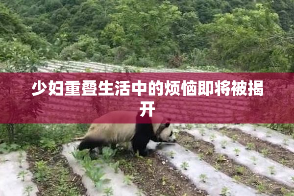 少妇重叠生活中的烦恼即将被揭开