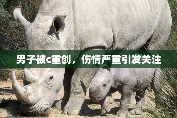 男子被c重创，伤情严重引发关注