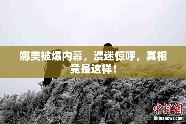 娜美被爆内幕，漫迷惊呼，真相竟是这样！