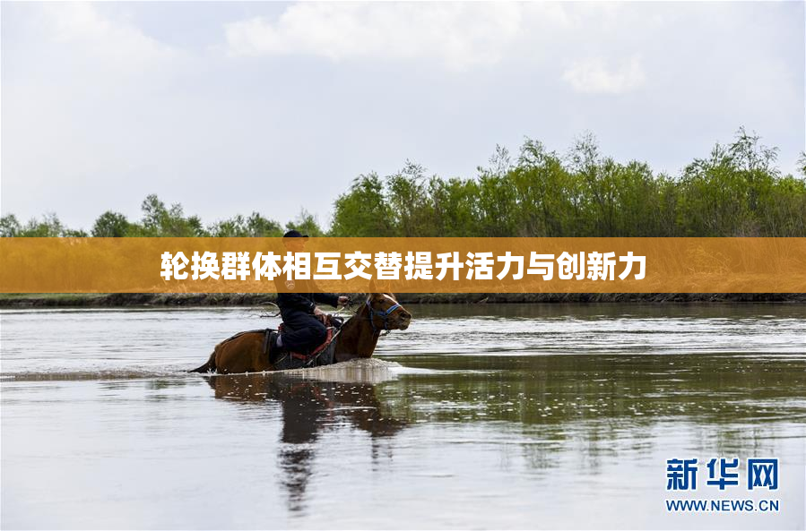 轮换群体相互交替提升活力与创新力