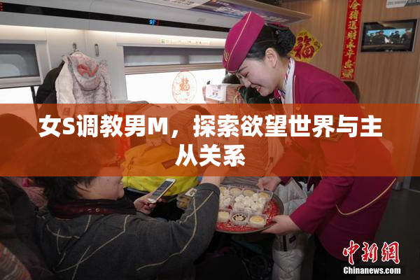 女S调教男M，探索欲望世界与主从关系