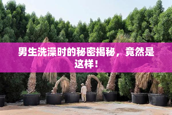 男生洗澡时的秘密揭秘，竟然是这样！