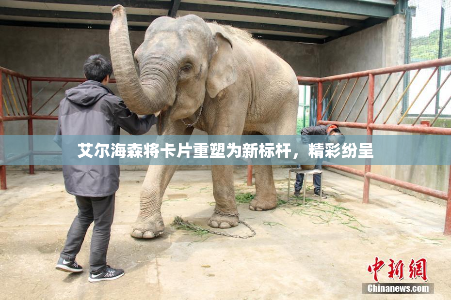 艾尔海森将卡片重塑为新标杆，精彩纷呈
