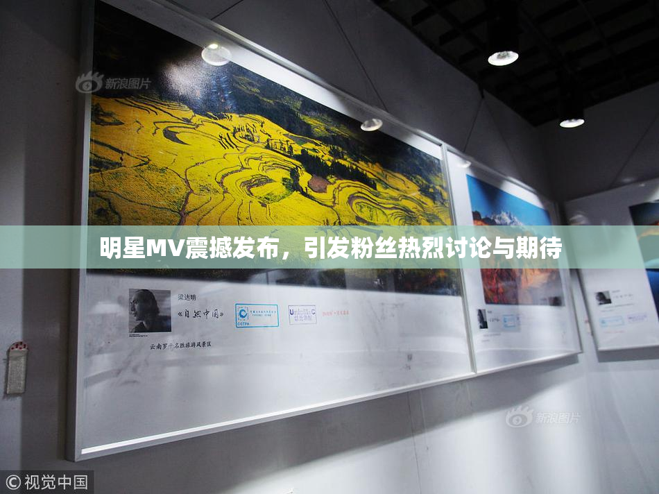 明星MV震撼发布，引发粉丝热烈讨论与期待