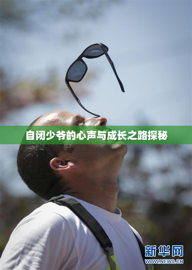 自闭少爷的心声与成长之路探秘