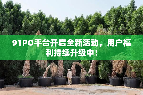 91PO平台开启全新活动，用户福利持续升级中！