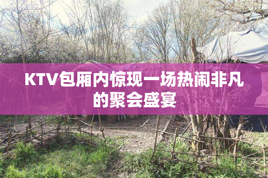 KTV包厢内惊现一场热闹非凡的聚会盛宴