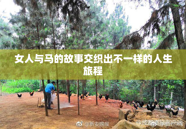 女人与马的故事交织出不一样的人生旅程
