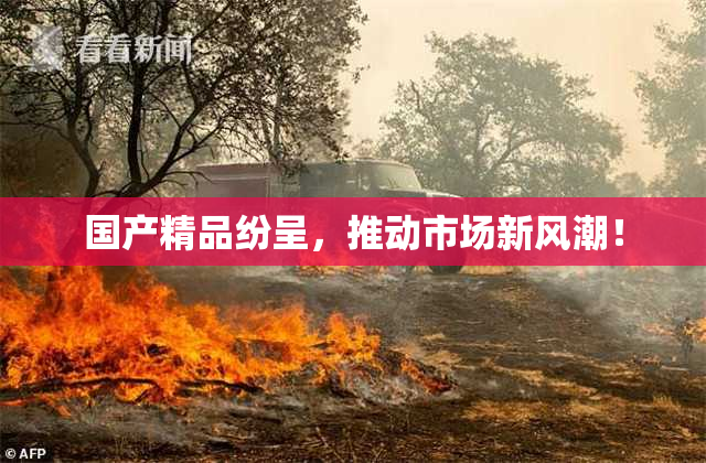 国产精品纷呈，推动市场新风潮！
