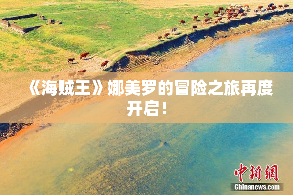 《海贼王》娜美罗的冒险之旅再度开启！