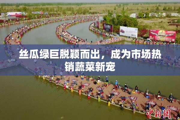 丝瓜绿巨脱颖而出，成为市场热销蔬菜新宠