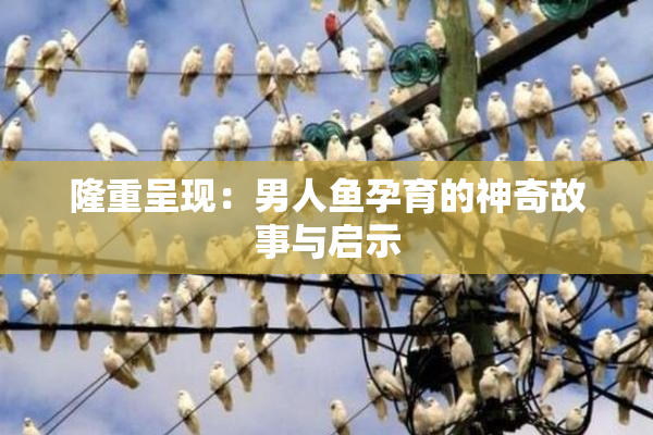 隆重呈现：男人鱼孕育的神奇故事与启示